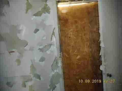 13021 Kelly (29)_m.jpg